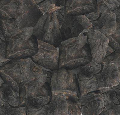 何首乌