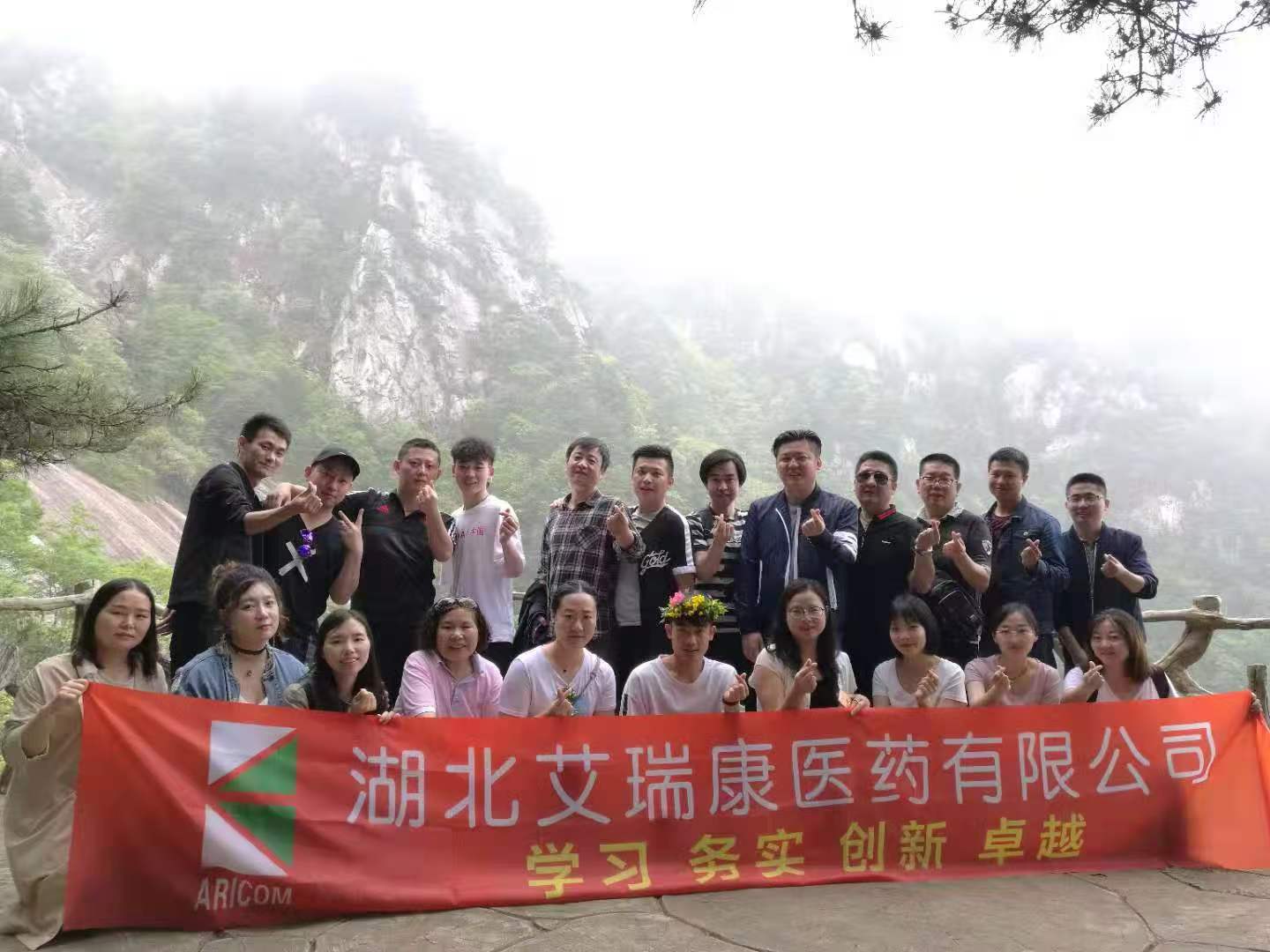 团队14